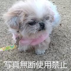❇️レンタル おばさん始めました🤗❇️返信致します❇️ - 手伝いたい/助けたい