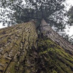 誘ってください！野球やりたい！