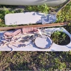 スポーツ マリンスポーツの画像