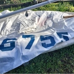 スポーツ マリンスポーツの画像