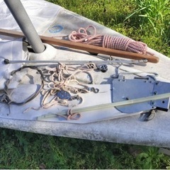 スポーツ マリンスポーツの画像