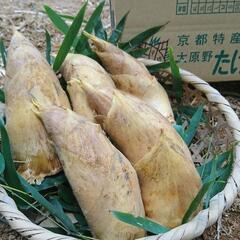京都府(京都市西京区)産たけのこ2kg④