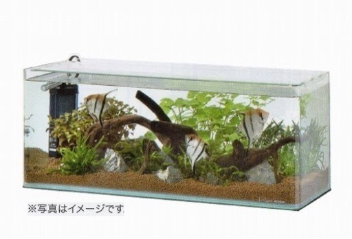 ❴商談中❵曲げガラス水槽60cm未使用
