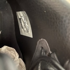 靴/バッグ 靴 スニーカー　ナイキ　限定モデルの画像