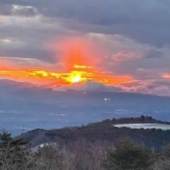 お友達欲しいな