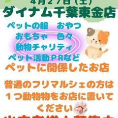 ダイナムフリマ開催