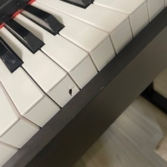 楽器 鍵盤楽器、ピアノの画像