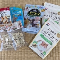 ハムスターバラエティーセット 相談中