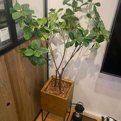 【引き取り限定】観葉植物（フェイク）その２