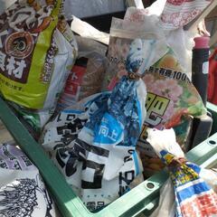 《決まりました✨》観葉、花用土