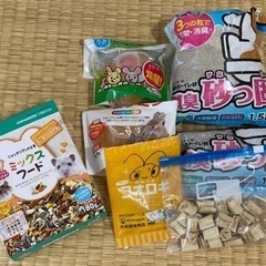 ハムスターバラエティーセット 相談中