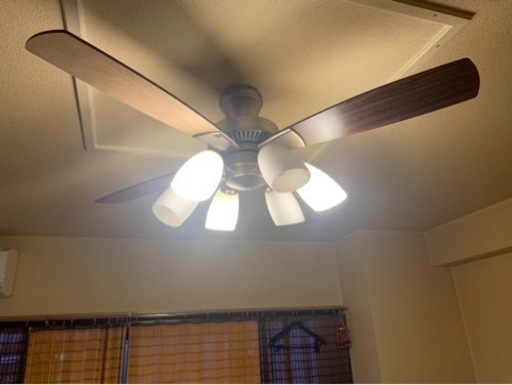 家具 照明器具