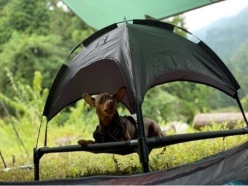 5050WORKSHOP withPET ANML TENT アニマルテント ペット用 犬 猫