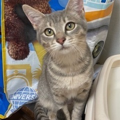 里親様決まりました！！ありがとうございました！！