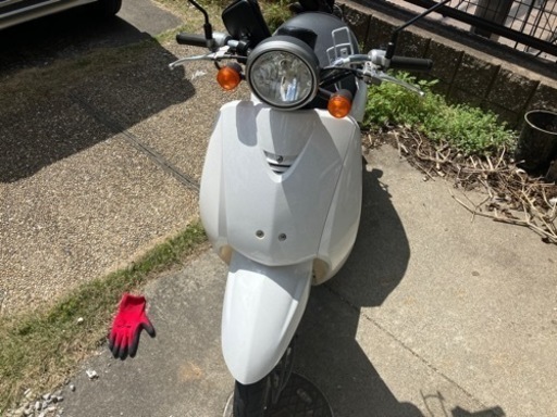 決まりました!today原付スクーター