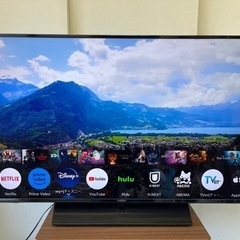 Panasonic製☆2022年製☆49型液晶テレビ☆1年間保証付き