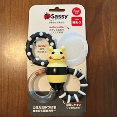 sassy カミカミみつばち