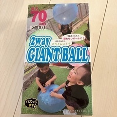 バブルボール