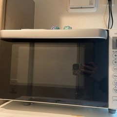  電子レンジ 炊飯器