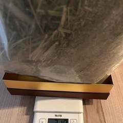 【再入荷 】競走馬用USA産1番刈りチモシー300gの画像
