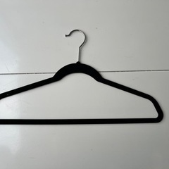 生活雑貨 洗濯用品 ハンガーの画像