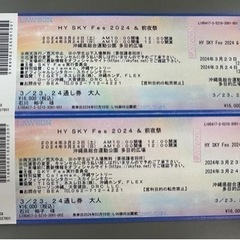 最安値　HYスカイフェス　3月23日24日　通し券2枚セット
