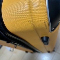 キャリーケース スーツケース 100L 大型 の画像