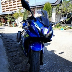 スズキGSX250R