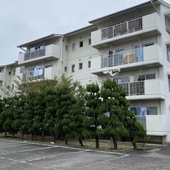 お得だらけのファミリーマンションの画像