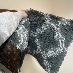 サイズ　170cm*110cm カーペットの画像