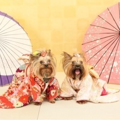 犬友達になって下さる方を募集しています - メンバー募集