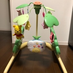 プーメリーの画像