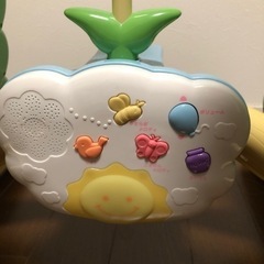 プーメリーの画像