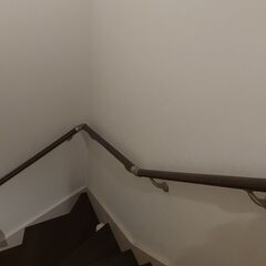 体力に自信がある方!早い者勝ち!アイリスオーヤマ 冷蔵庫 87L 小型 一人暮らし 赤 の画像