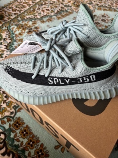 adidas YEEZY Boost350 V2 SALT