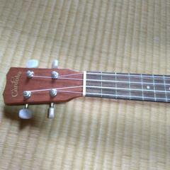 20CM ＣＯＲＤOＢＡ社　コンサートウクレレ　20シリーズ 延岡市役所近くの画像