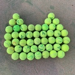 一緒にテニスしましょう🎾 - 鹿児島市