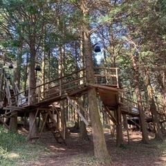 小屋作って泊まろう 4月5日 - 友達