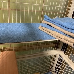 小動物4段ゲージ　ゲージのみの画像