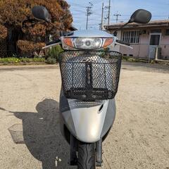 再掲！　3月24〜26日引取限定！　HONDA   ライブディオ　AF35 の画像