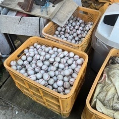 ゴルフボール　練習球　汚れ傷あり　