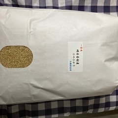 一等米　ヒノヒカリ　令和4年度産　冷蔵保存米　10キロ玄米