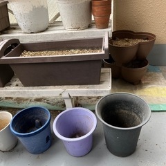 3/25まで　生活雑貨 家庭用品 ガーデニングの画像