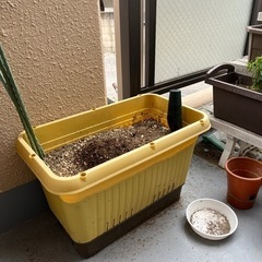 3/25まで　生活雑貨 家庭用品 ガーデニングの画像