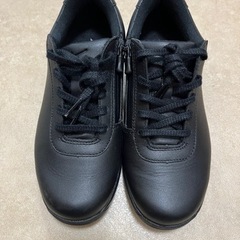 MIZUNO  ウォーキングシューズ22.5cm  LD40 VIの画像