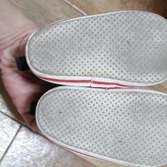 12cm ベビー靴の画像