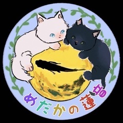めだかの蓮音無人販売所　めだか販売　メダカ販売　ハンドメイド雑貨の画像