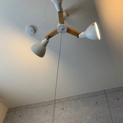 家具 照明器具 ニトリ シーリングライトの画像