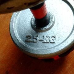 ダンベルなど差し上げます。の画像