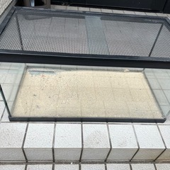 受け渡し予定者決定しました【無料で差し上げます】60cm水槽30...